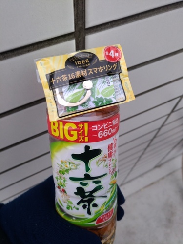 16cha_smphring_01.jpg